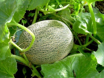 Similar image 21772600