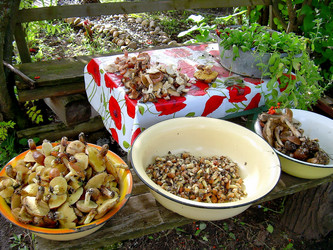 Similar image 21772602