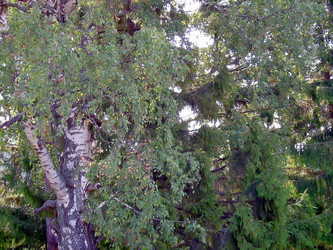 Similar image 21772603