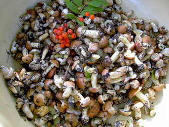 Similar image 21772604