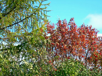 Similar image 21772607