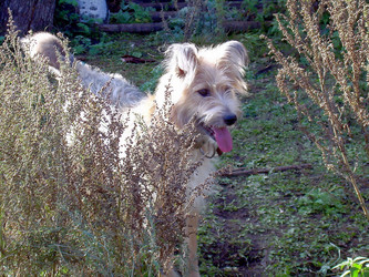 Similar image 21772608