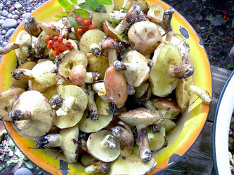 Similar image 21772609