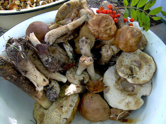 Similar image 21772610