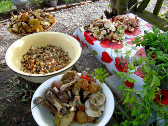 Similar image 21772611