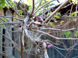 Similar image 21772612