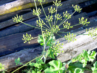 Similar image 21772614