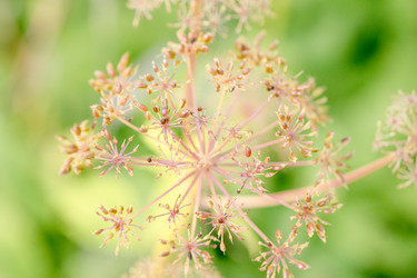 Similar image 21772323