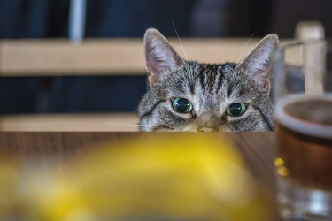 Similar image 21772325