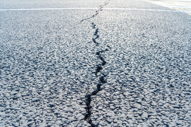 Similar image 21772336