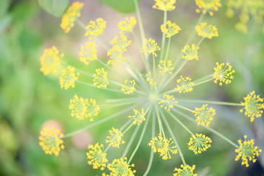 Similar image 21772340