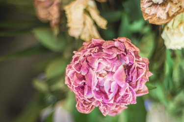 Similar image 21772341