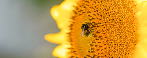 Similar image 21772342