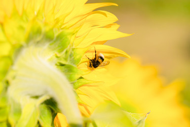 Similar image 21772343