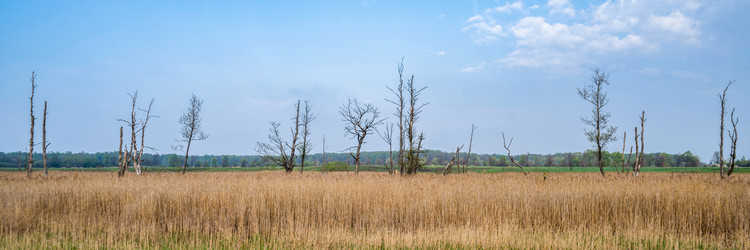 Similar image 21772346