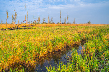 Similar image 21772347