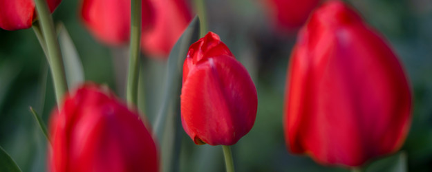 Similar image 21772349