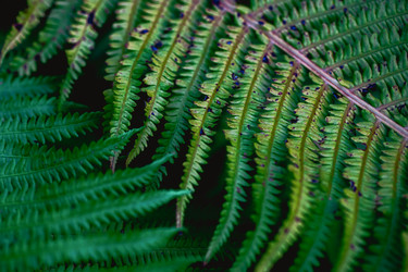 Similar image 21772350