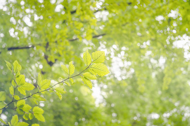 Similar image 21772353