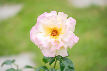 Similar image 21772357