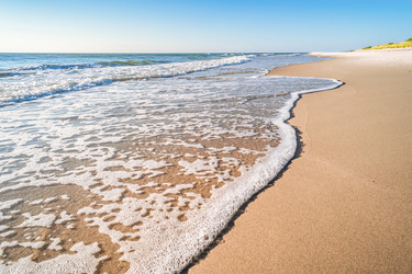 Similar image 21772362