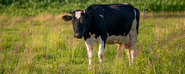 Similar image 21772365