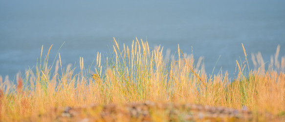 Similar image 21772366