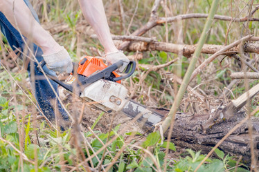 Similar image 21772368