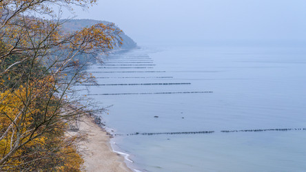 Similar image 21772369