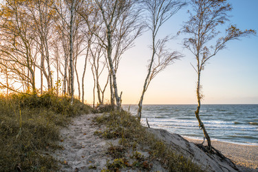 Similar image 21772370