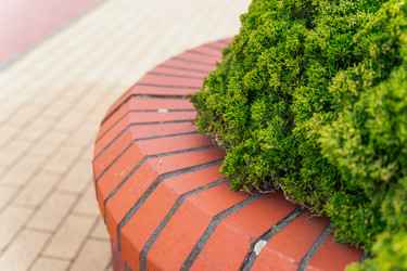 Similar image 21772478