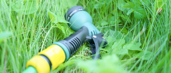 Similar image 21772481