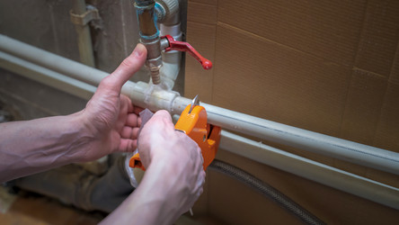 Similar image 21772484