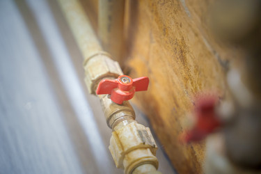 Similar image 21772485