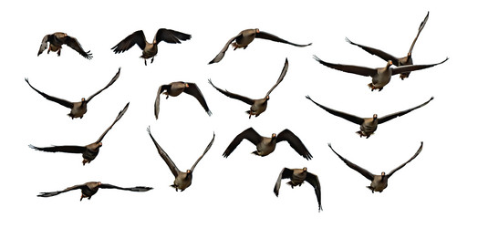 Similar image 21772371