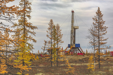 Similar image 21772372