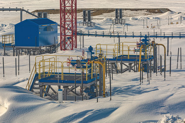 Similar image 21772397