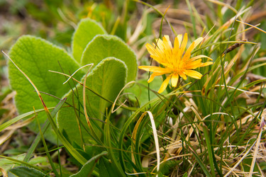 Similar image 21772243