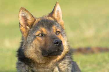 Similar image 21772246