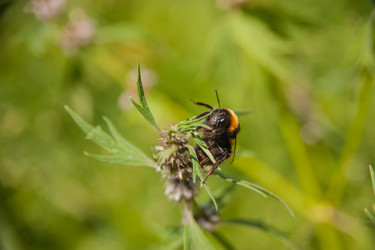 Similar image 21772248