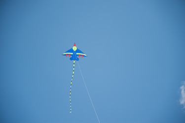 Similar image 21772412