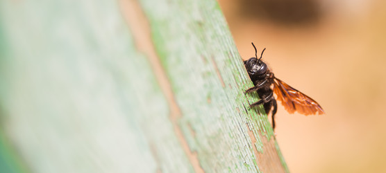 Similar image 21772414