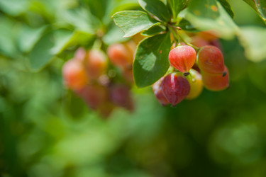 Similar image 21772415