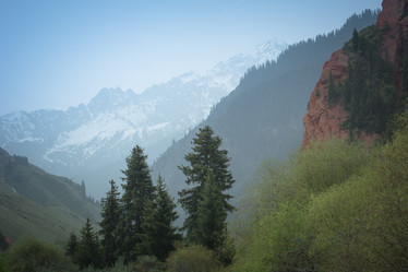 Similar image 21772417