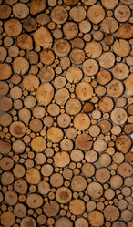 Similar image 21772419