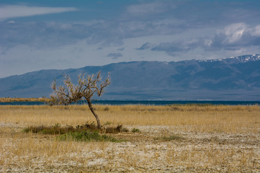 Similar image 21772422