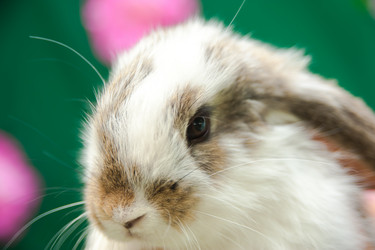 Similar image 21772428