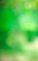 Similar image 21772429