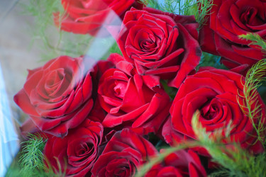 Similar image 21772430