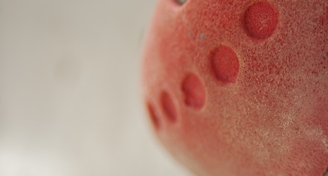 Similar image 21772434